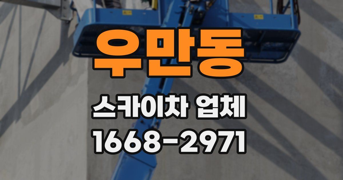 우만동 스카이차 업체