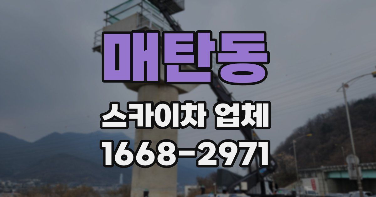 매탄동 스카이차 업체
