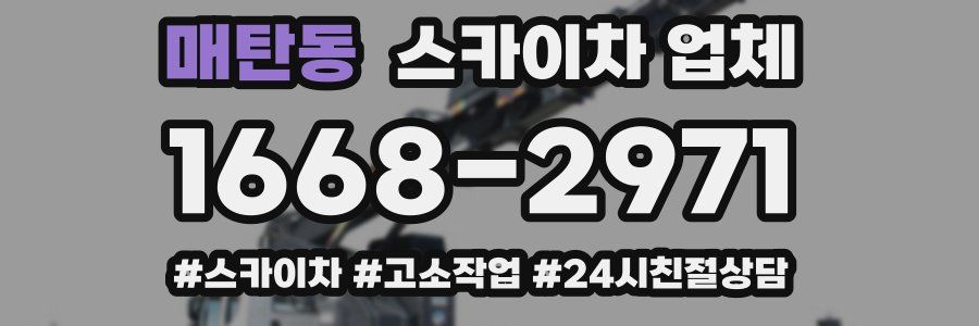 매탄동 스카이차 업체