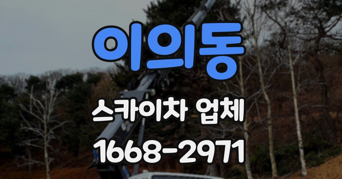 이의동 스카이차 업체