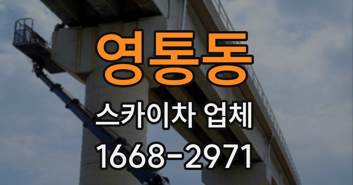 영통동 스카이차 업체