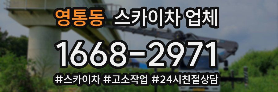 영통동 스카이차 업체