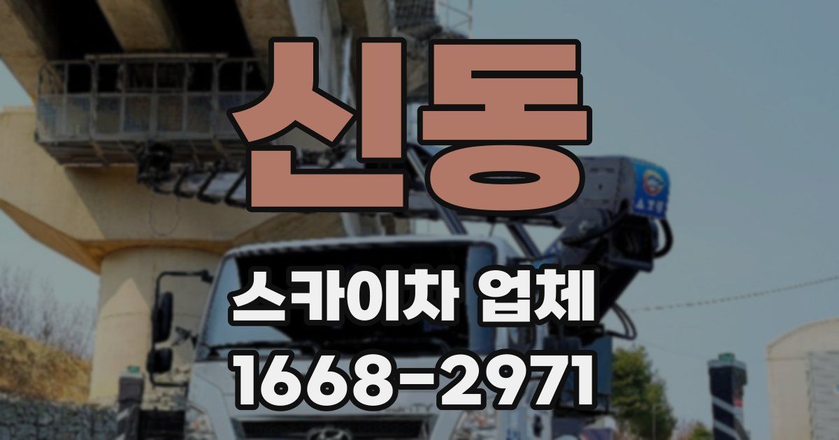 신동 스카이차 업체