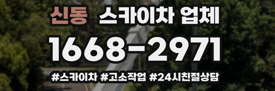 신동 스카이차 업체