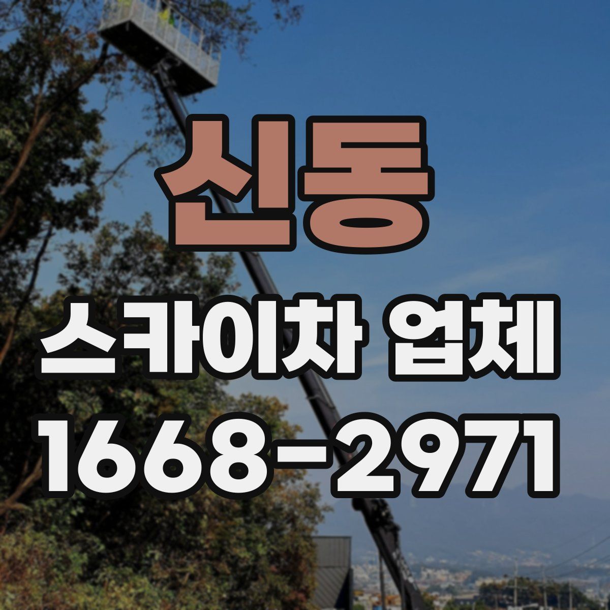 신동 스카이차 업체