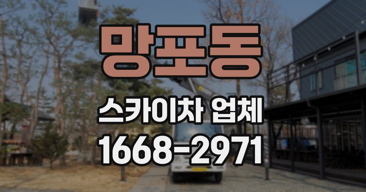 망포동 스카이차 업체