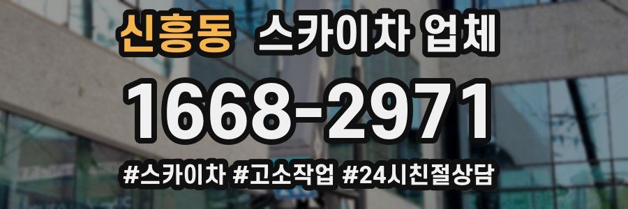 신흥동 스카이차 업체