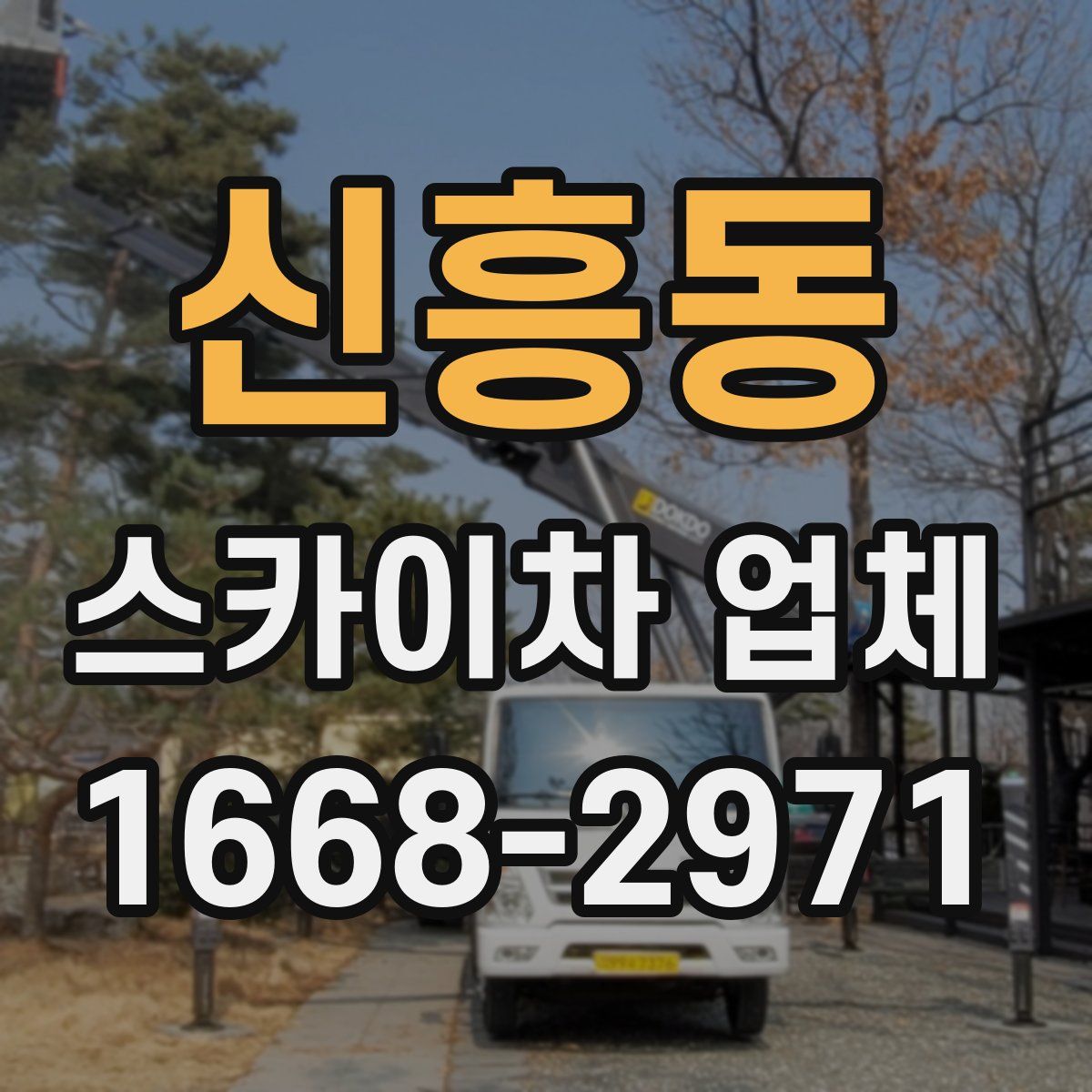 신흥동 스카이차 업체