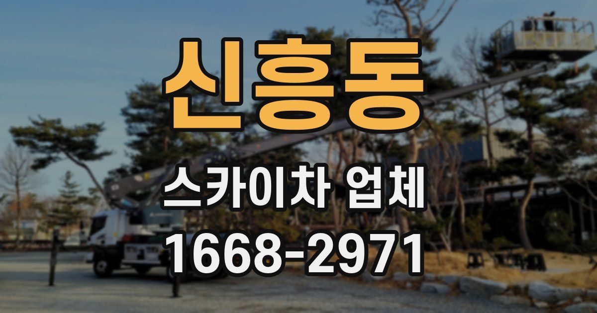 신흥동 스카이차 업체