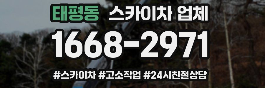 태평동 스카이차 업체