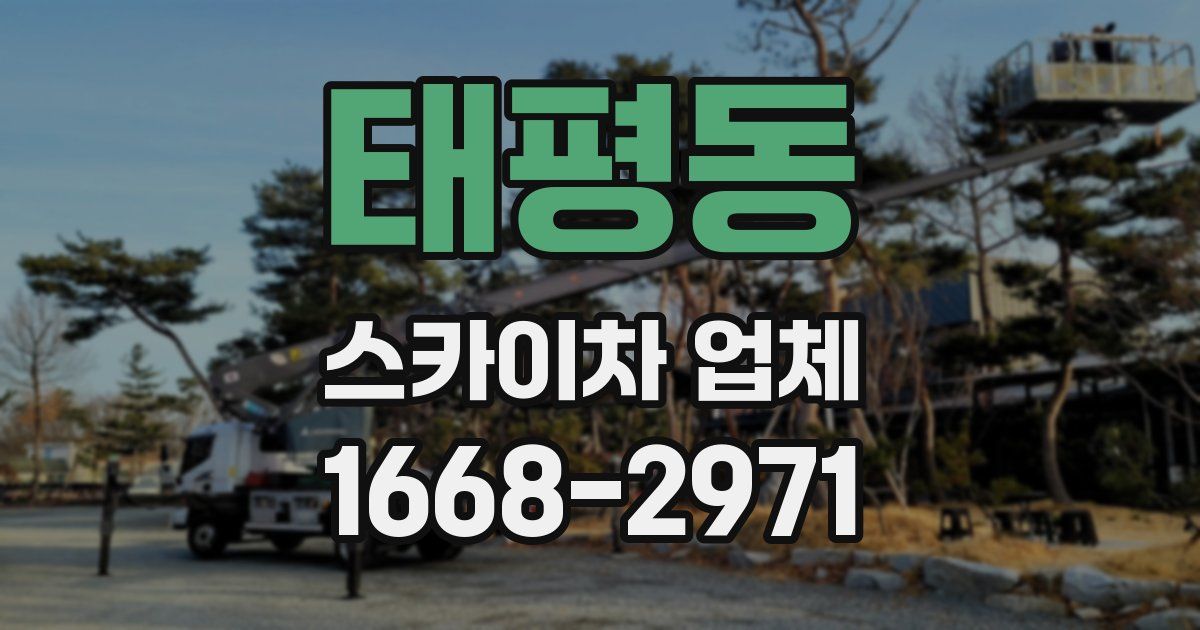 태평동 스카이차 업체