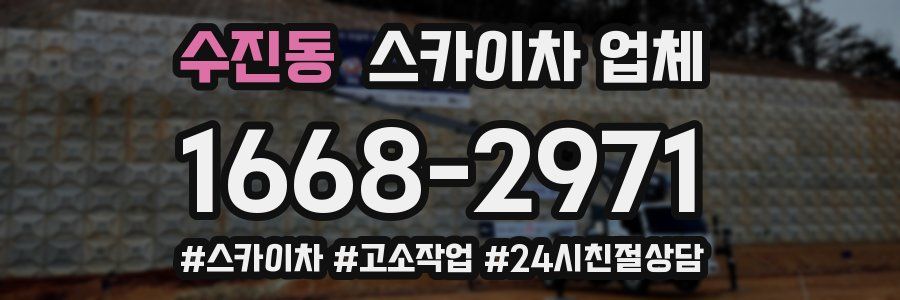 수진동 스카이차 업체
