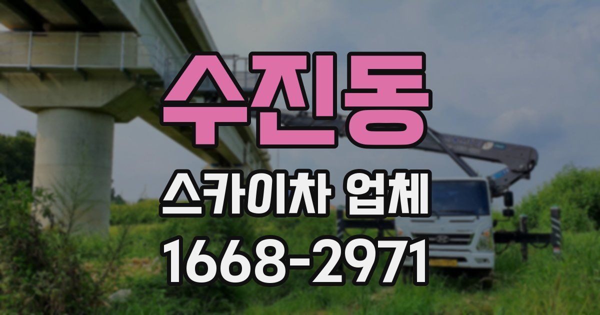 수진동 스카이차 업체