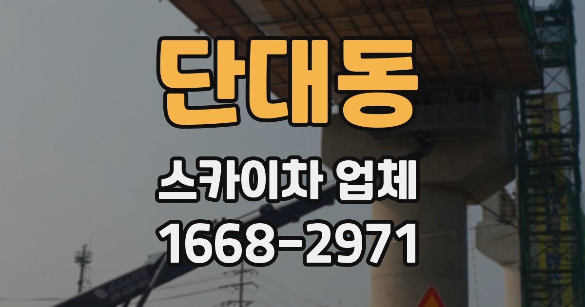 단대동 스카이차 업체