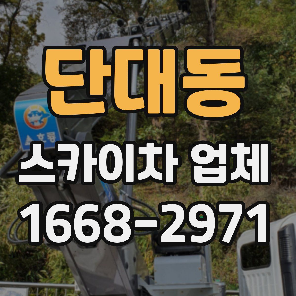 단대동 스카이차 업체