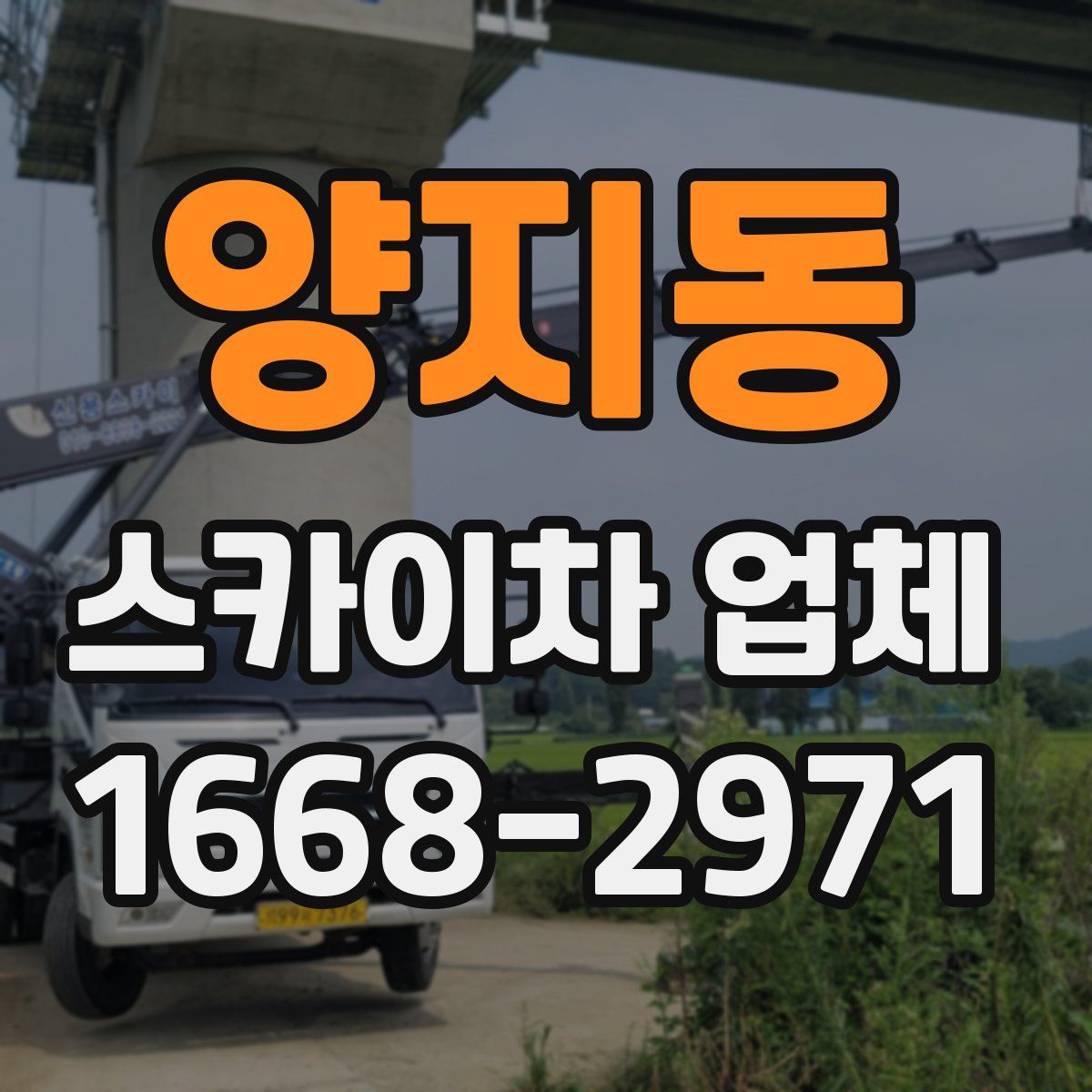 양지동 스카이차 업체