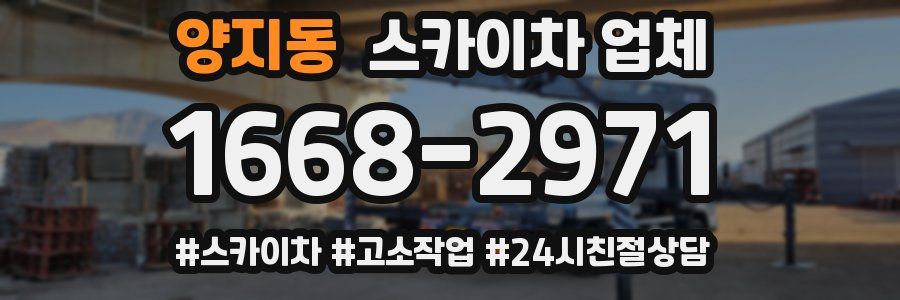 양지동 스카이차 업체