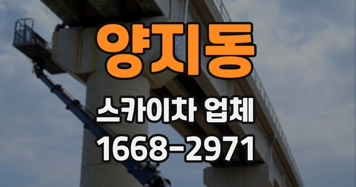 양지동 스카이차 업체