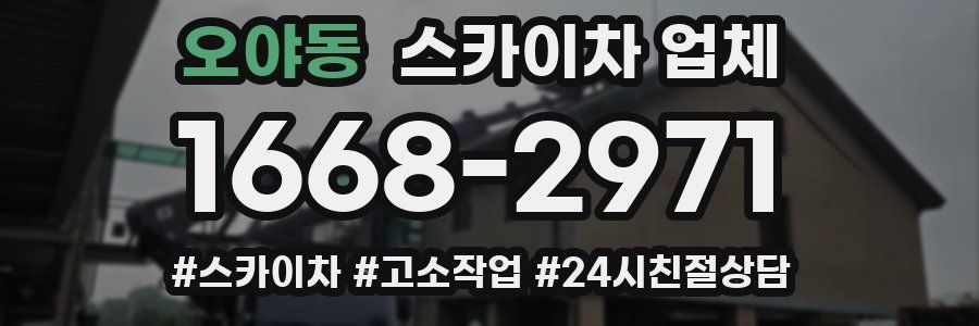 오야동 스카이차 업체
