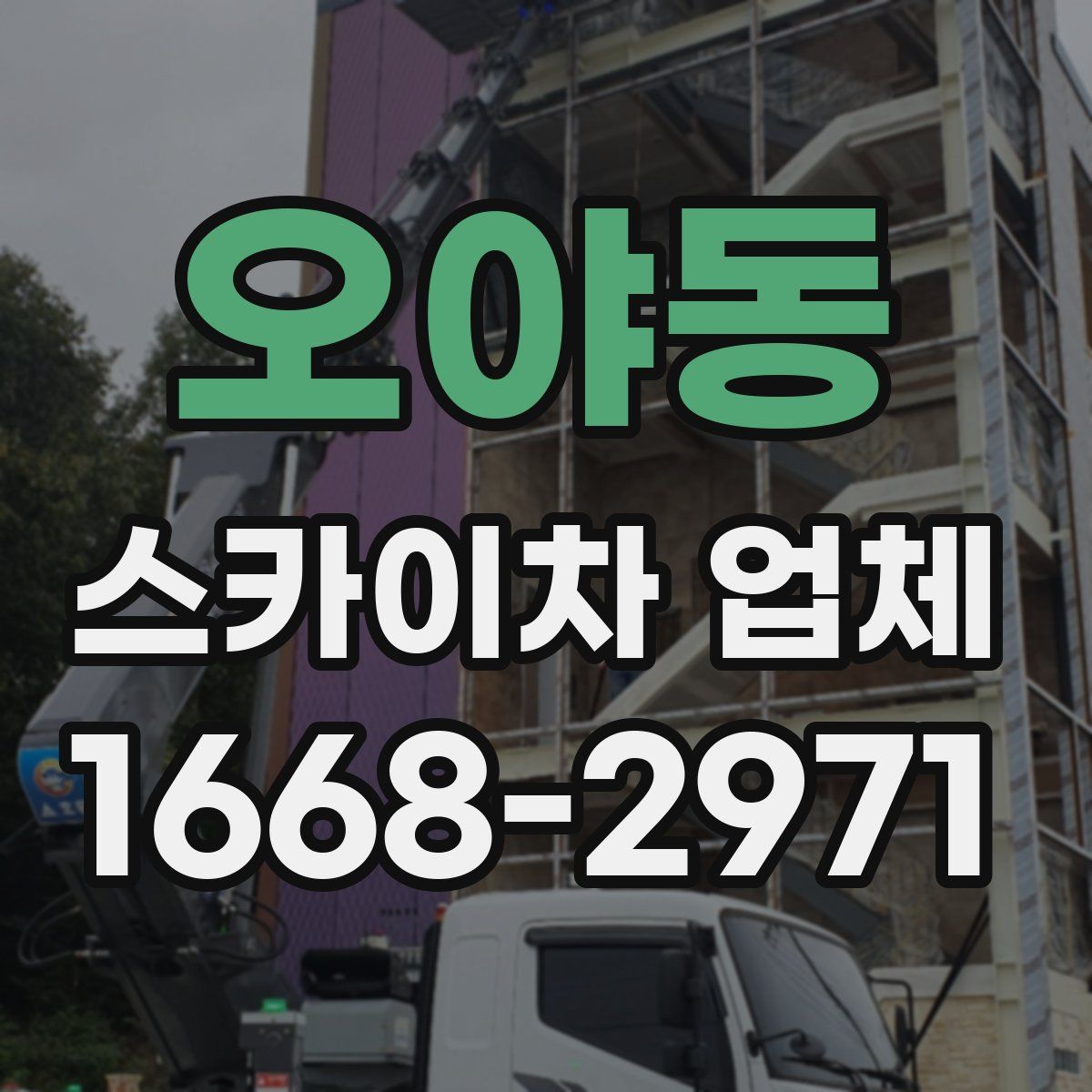 오야동 스카이차 업체