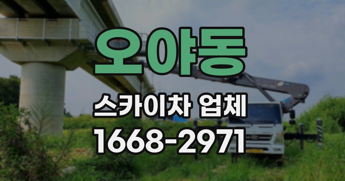오야동 스카이차 업체