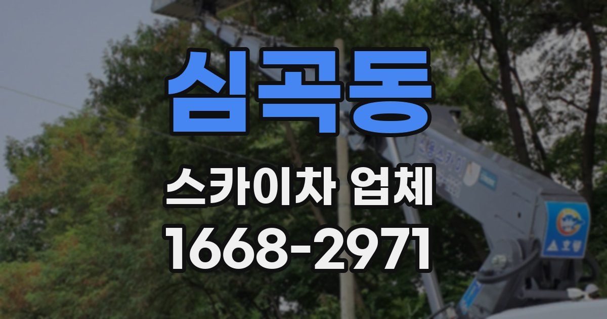 심곡동 스카이차 업체