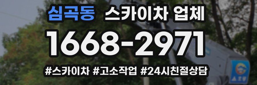심곡동 스카이차 업체
