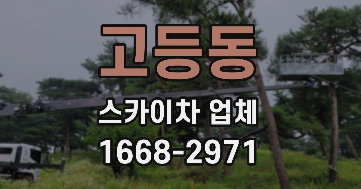 고등동 스카이차 업체