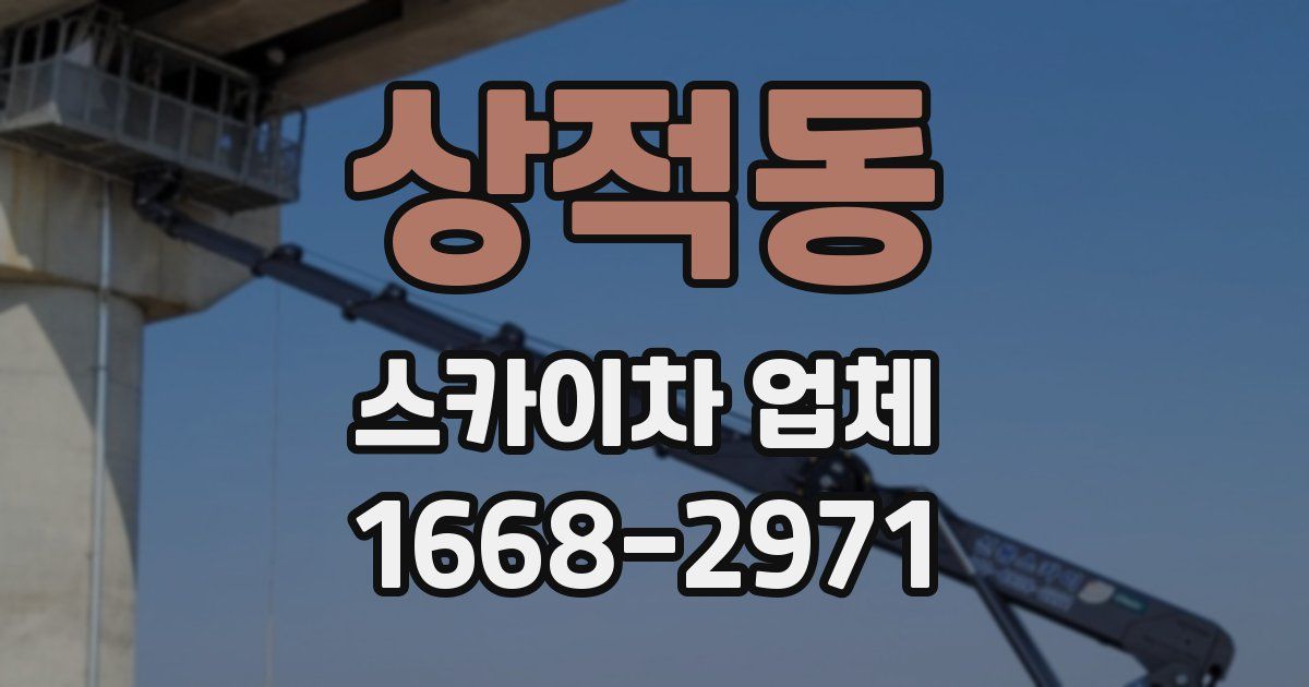 상적동 스카이차 업체