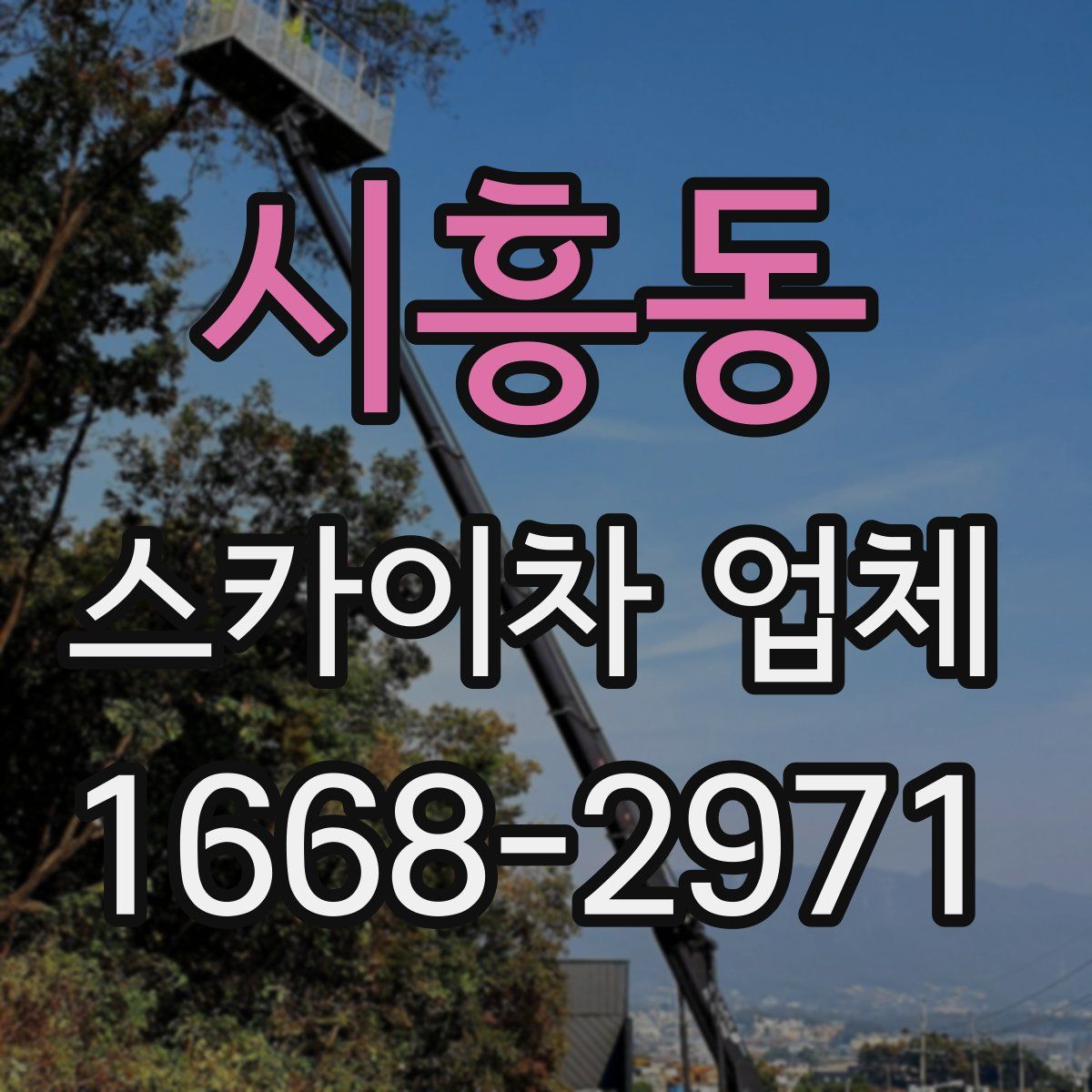 시흥동 스카이차 업체