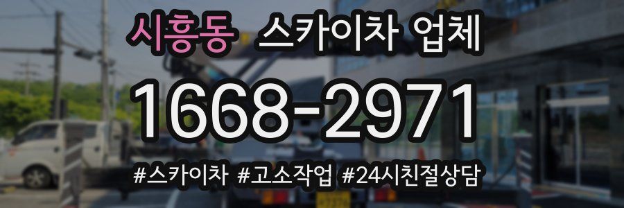 시흥동 스카이차 업체
