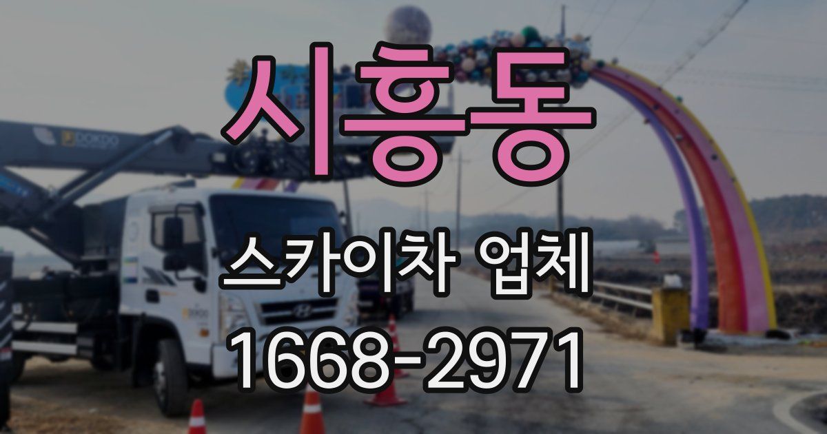 시흥동 스카이차 업체