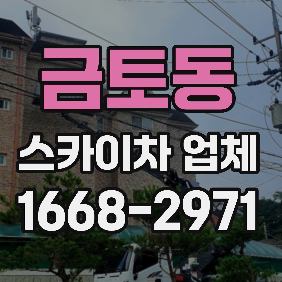 금토동 스카이차 업체