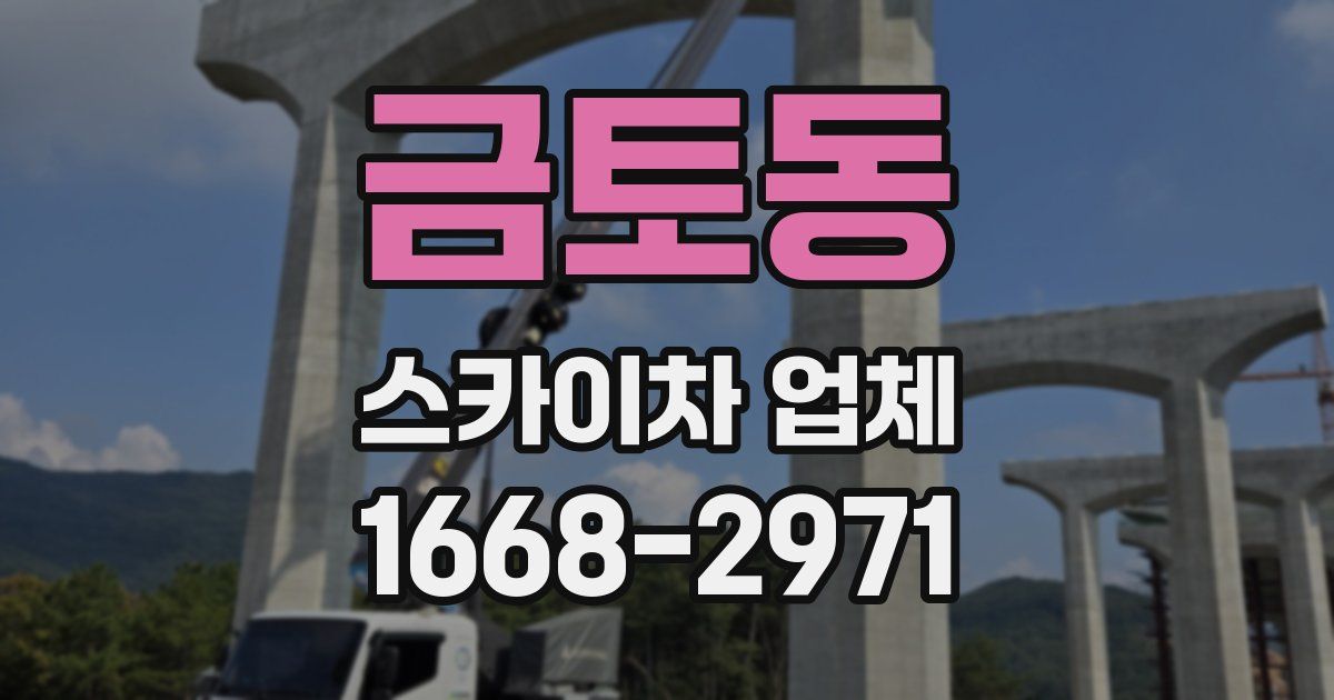 금토동 스카이차 업체