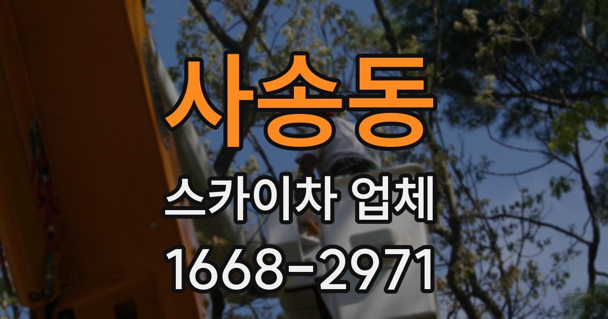 사송동 스카이차 업체