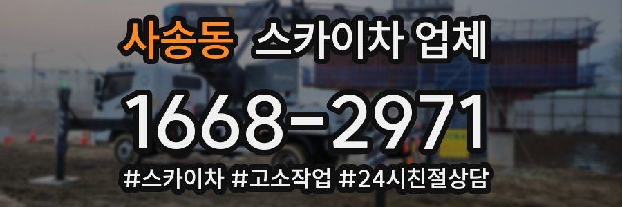 사송동 스카이차 업체