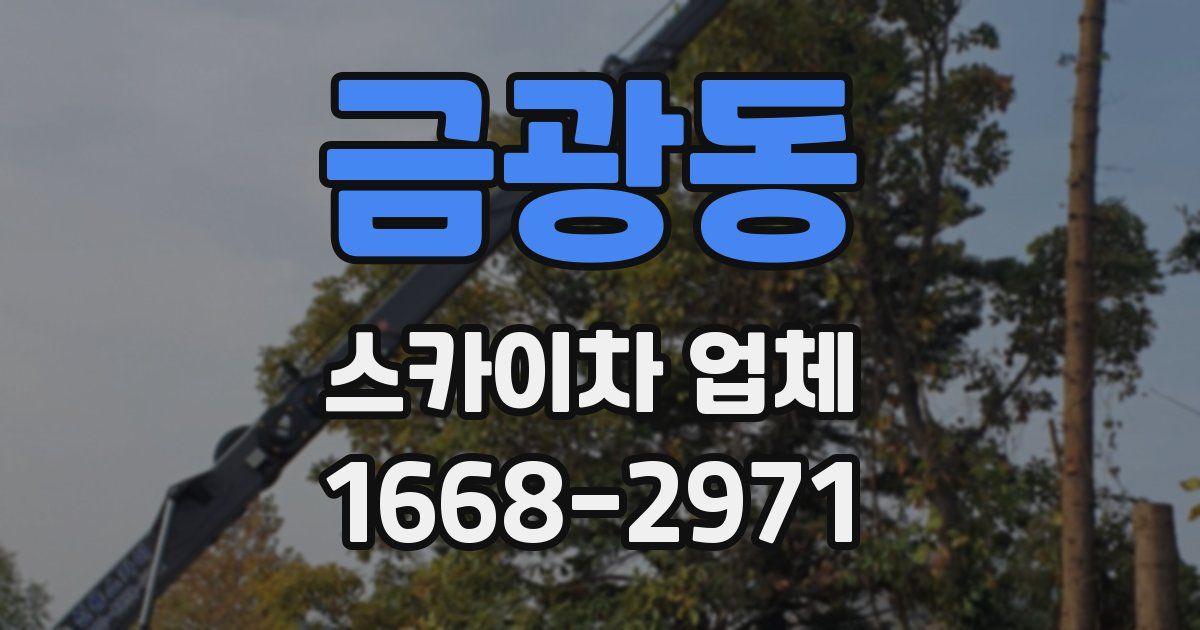 금광동 스카이차 업체