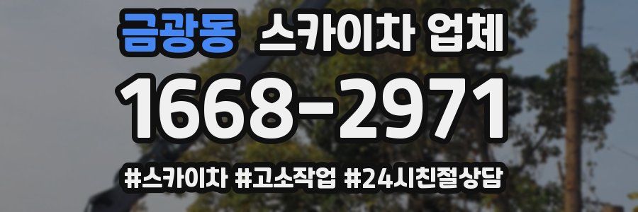 금광동 스카이차 업체