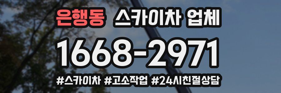 은행동 스카이차 업체