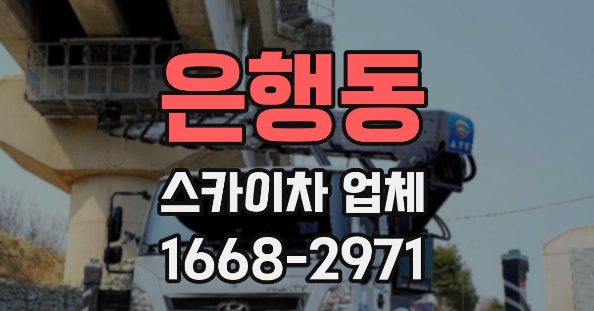 은행동 스카이차 업체
