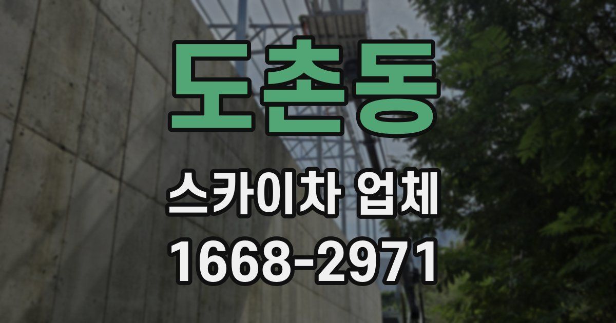 도촌동 스카이차 업체