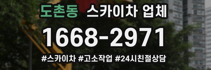 도촌동 스카이차 업체