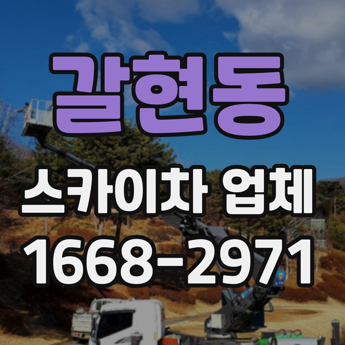 갈현동 스카이차 업체
