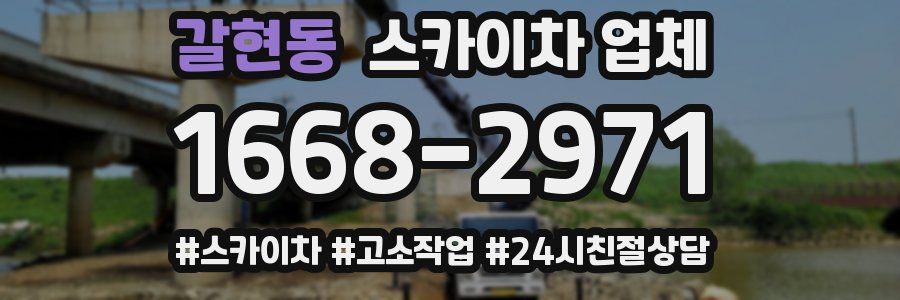 갈현동 스카이차 업체