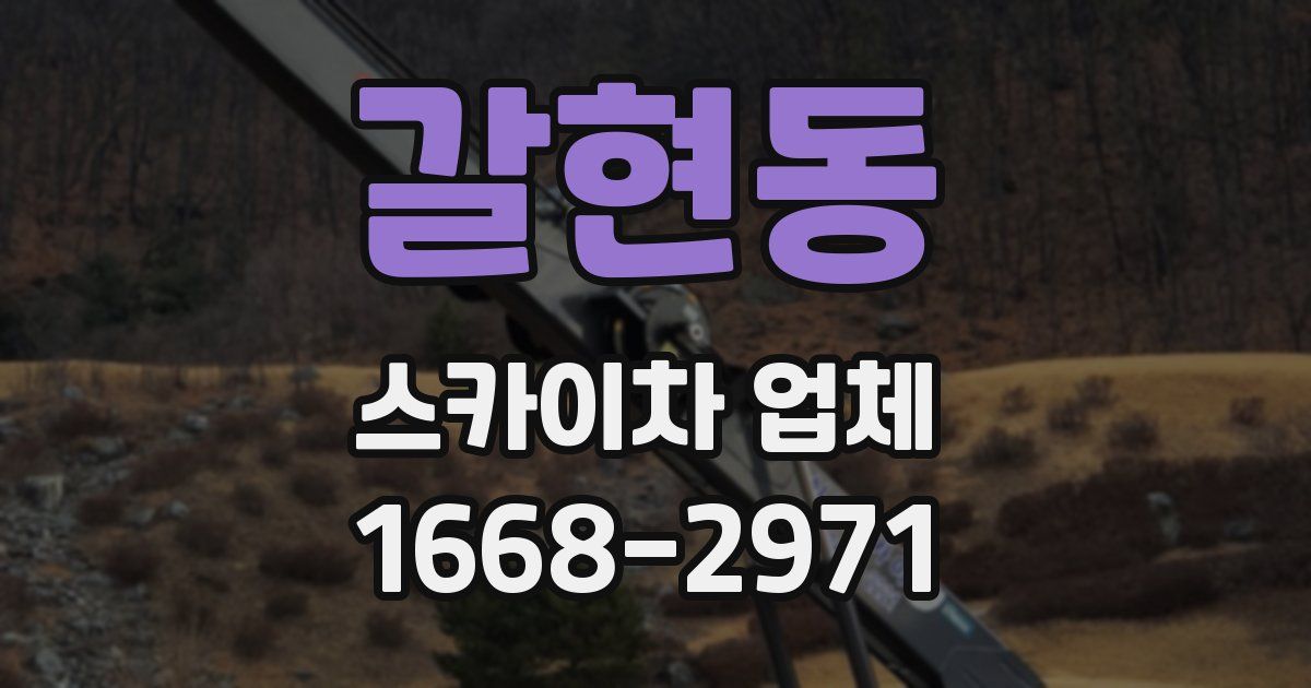 갈현동 스카이차 업체