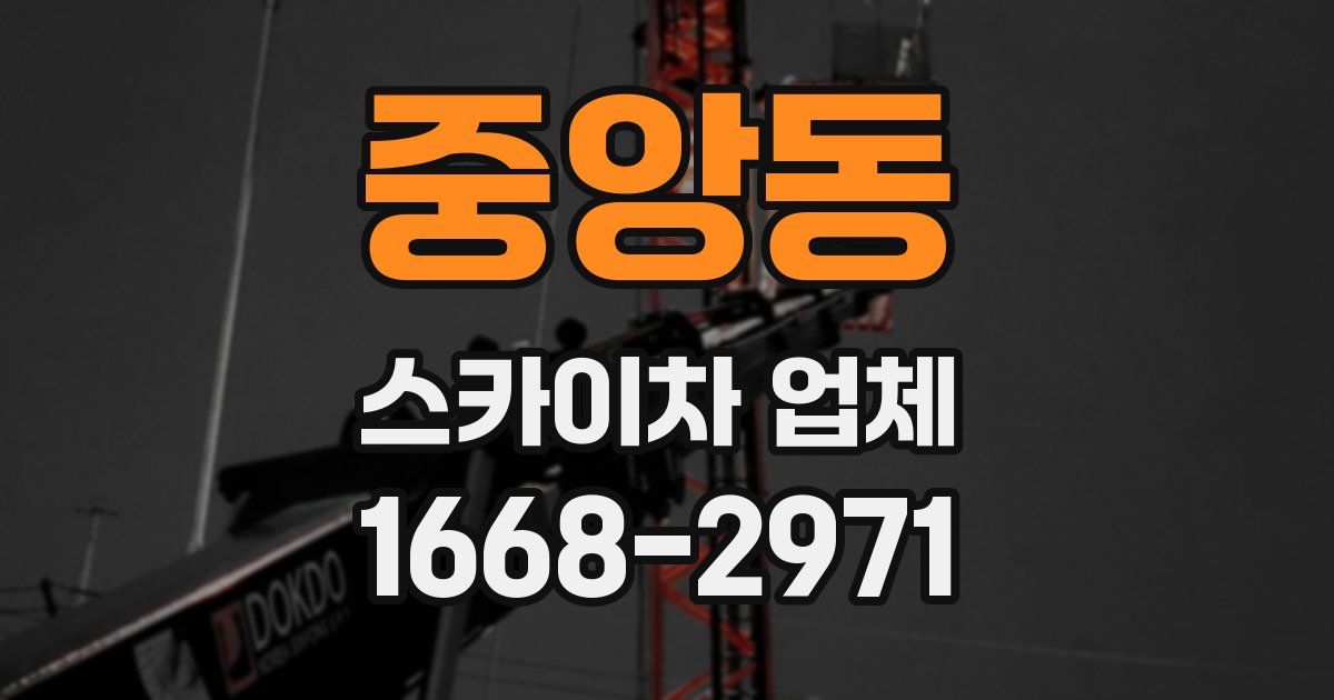 중앙동 스카이차 업체
