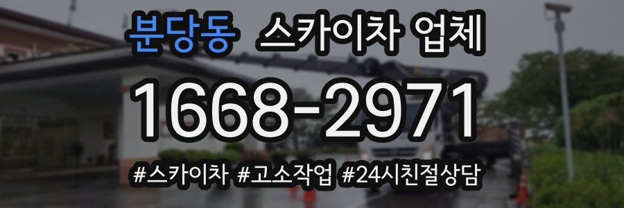 분당동 스카이차 업체