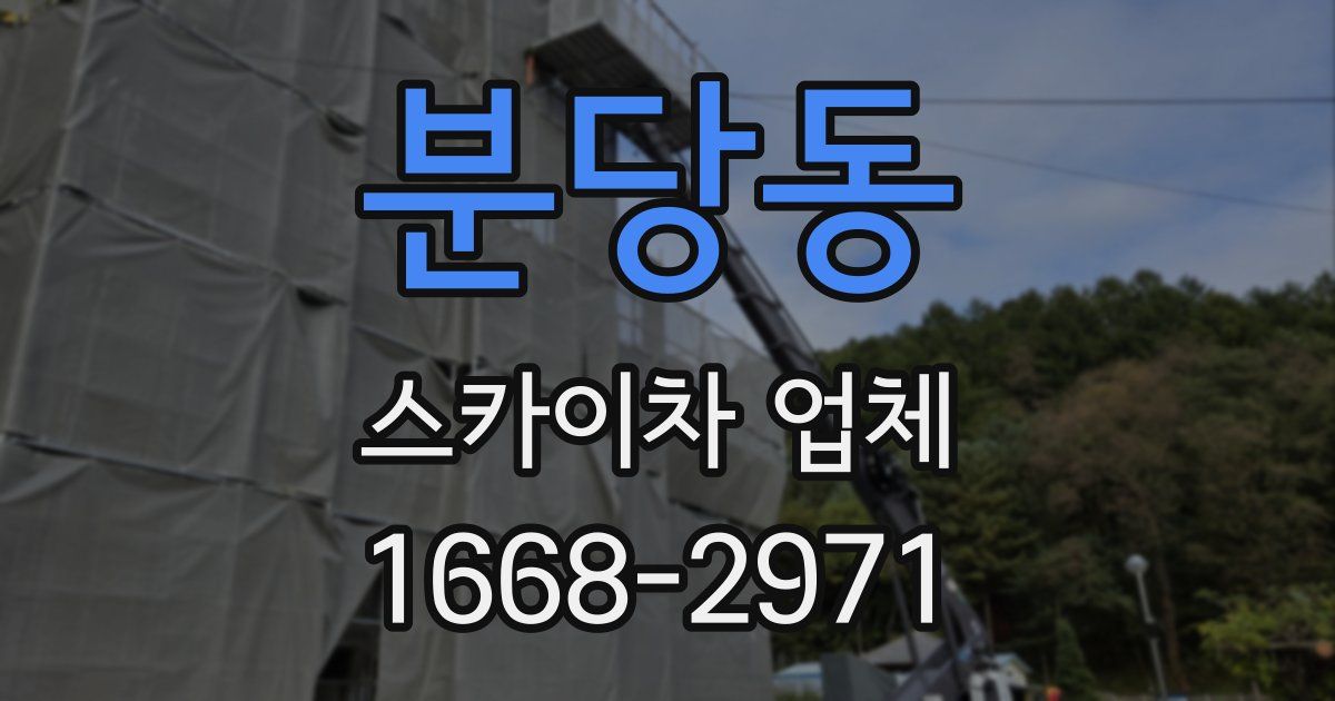 분당동 스카이차 업체