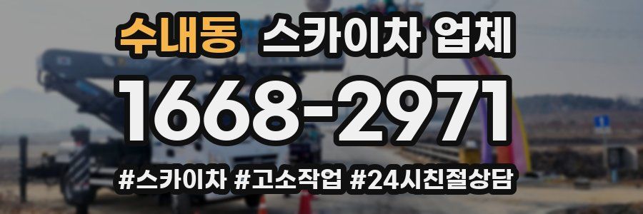 수내동 스카이차 업체