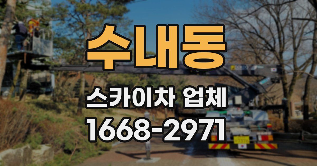 수내동 스카이차 업체